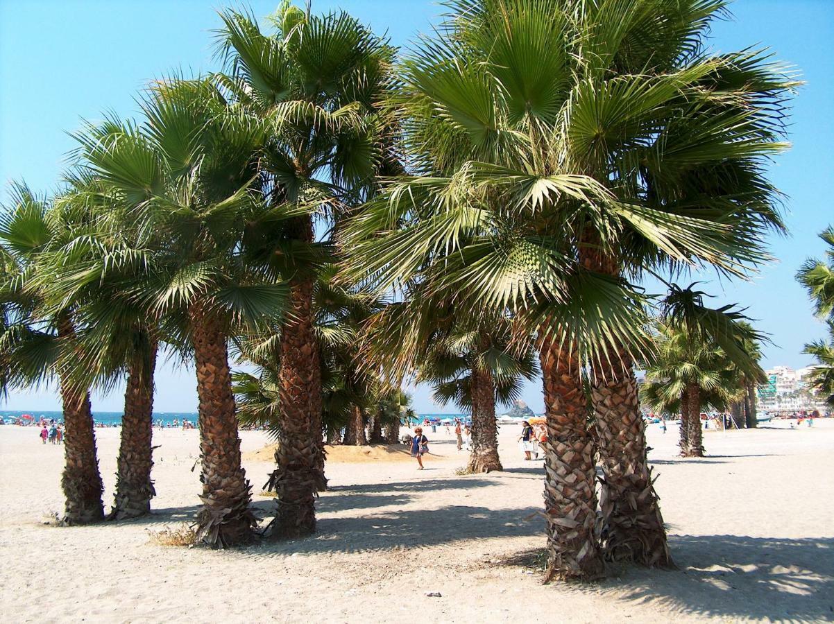 Central Almunecar, Beach Playa 125 Metres, By Old Town Exteriör bild